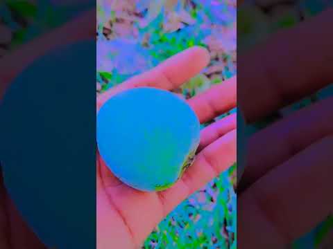 खजूर आम पका आम😍😍😍😍🎊🎊🥰🥰 #punjabisong #song #punjabimusic #love #funny #unfrezzmyaccount #dance #grow