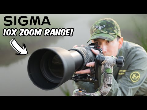 Wildlife Photography Adventure w/ NEW Sigma 60-600mm Sport
