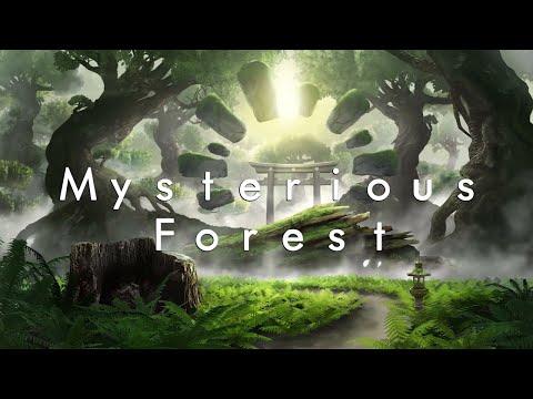 Mysterious Forest 🍃 Chill Lofi Beats
