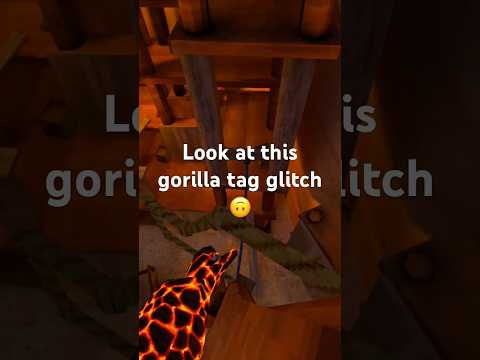 🦍🏷️ glitch