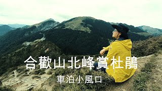 車泊小風口。合歡山北峰賞高山杜鵑