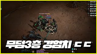 로드나인] 73렙 전투봉의 신서버 무덤3층, 어둠5층, 어둠6층 경험치 비교!