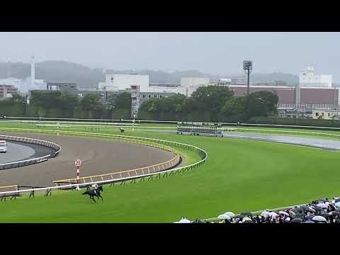 【観客目線】ヴィクトリアマイル本馬場入場　勝ち馬ソングライン