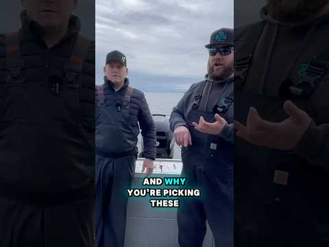 What lures to fish during the herring spaw
