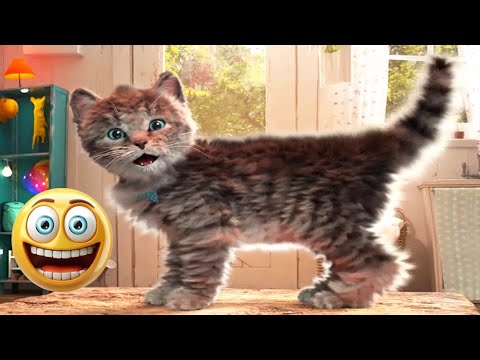 The Best FUNNY ANIMALS VIDEOS of All Time 🤣 Ultra Funny CATS and DOGS videos 2024 #part13