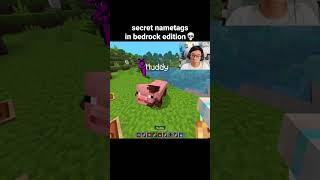 Minecraft Secret Nametags Moment
