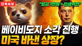 베이비도지코인 소각 공개!!? 홀더분 진짜 제발 꼭 보세요!