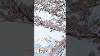 Cherry blossoms 🌸 #japan #Mount Fuji #樱花#富士山#樱花祭