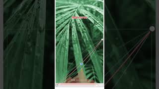 snapseed colour grading tutorial. #snapseedphotoediting #snapseed #photoediting #moodytones