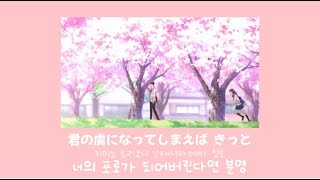 Summer time [サマータイム] cinnamons✖️evening cinema 너의 췌장을 먹고싶어 (가사/발음/번역)