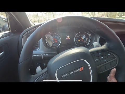 Let's Hit The Road Jack! We Got a 2023 Dodge Charger R/T WIDEBODY Scat Pack!🐝