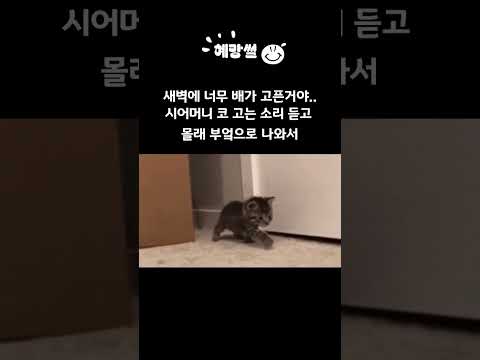 [혜망썰] 시어머니