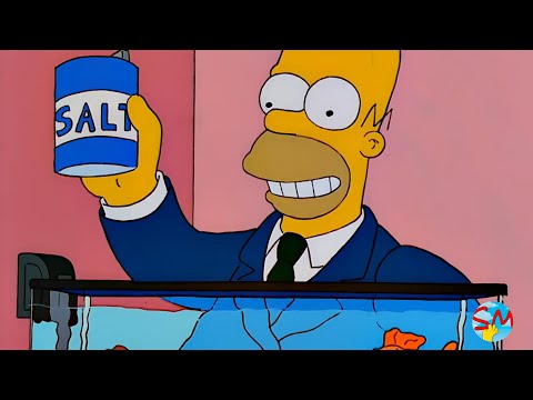 Los Simpsons - Mejores Momentos #13