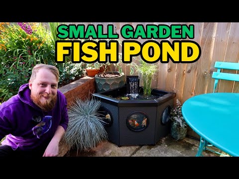 Creating a relaxing MINI PATIO POND for fancy goldfish.
