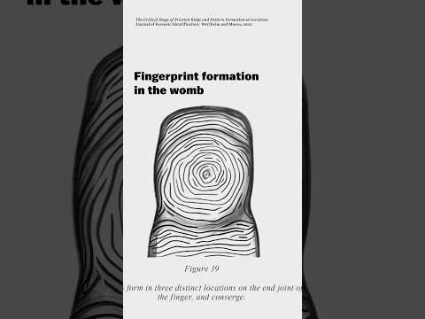 How we know fingerprints are unique #shorts