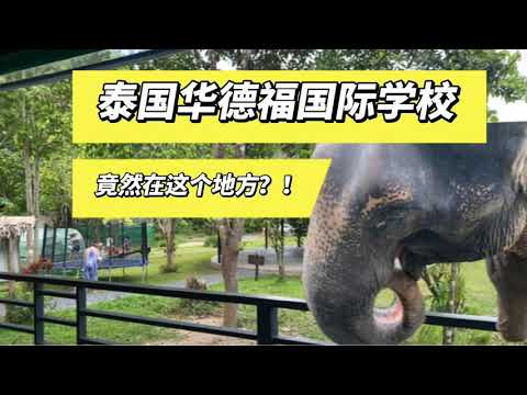 泰国华德福国际学校竟然开在这个地方？！