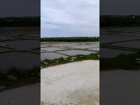 Guérande marais salants