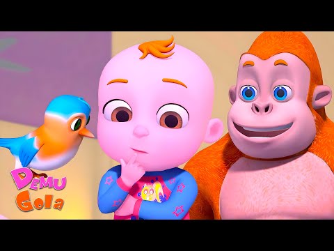 Bird In The House Episode And More | Demu Gola Cartoons | 3D Animated Cartoons For Toddlers