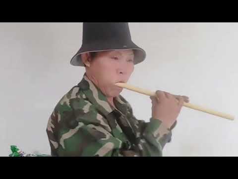 Hmong raj nplaim 2024/8/22