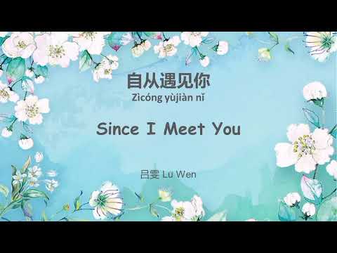 自从遇见你 zìcóng yùjiàn nǐ Since I Meet You | 吕雯 Lu Wen [Indo Sub]