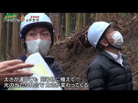 （５）日常風景に木があふれる街に！小田原木塀プロジェクト：スゴいぞ！ニッポンの木のチカラ2022