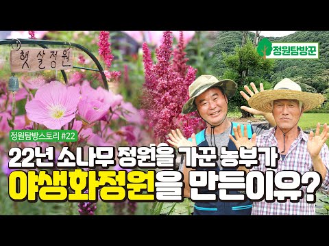 700평 전원주택 정원가꾸기 22년 소나무정원을 가꾼 농부가 야생화정원을 만든이유?