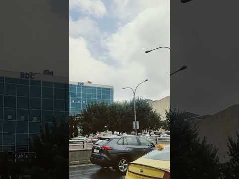 ٢٠ فبراير ٢٠٢٥