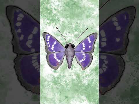 making the butterfly from music for bugs🦋