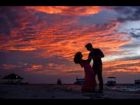 Beautiful Piano Music 24/7 • Relaxing Music for Sleep, Studying & Relaxation