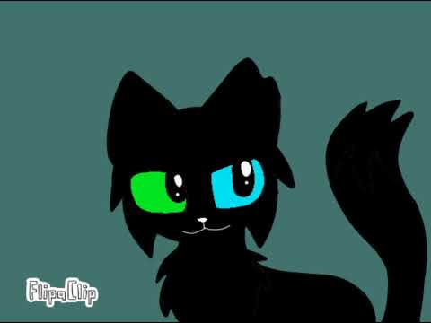 Oc Cat