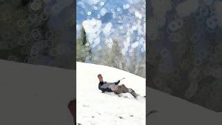 Commando in snow status 🌹 || Army WhatsApp status 🙏🤗 || #shorts