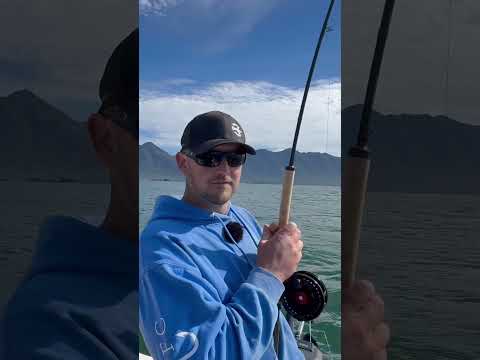 Salmon Peels Line from the Reel!