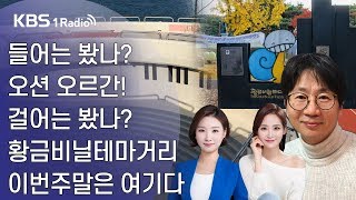 [라디오 전국일주] 들어는 봤나?  오션 오르간! 걸어는 봤나?  황금비닐테마거리 이번주말은 여기다 (11월07일)