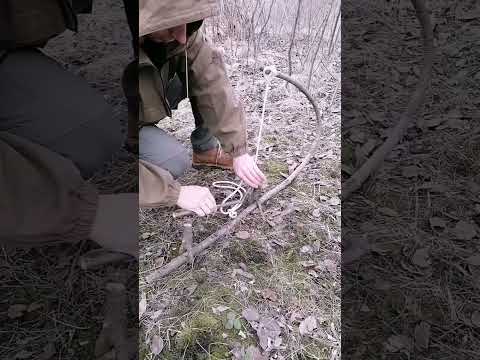 Tpap made of sticks and ropes #bushcraft #trap #survival