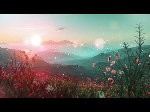 🌼 Sunlit Serenade: Blissful Chillhop & Wildflower Grooves for Spring’s Embrace🌞🎶