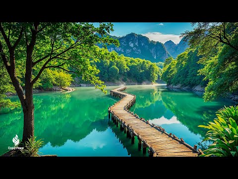 Soothing The Heart And Blood Vessels With Gentle Melodies 🌿 Healing Music For The Heart And Blood