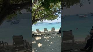 Phiphi island.#phiphiislands #thailandtravel #beach #viralvideo2025 #travel #shortsvideo