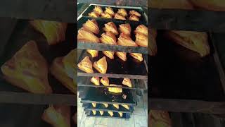 aloopetti#trend#viralvideo2025