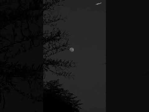 🌚🖤 #lightroom #moon #photography #clicksbyghayyur  #videography #shorts