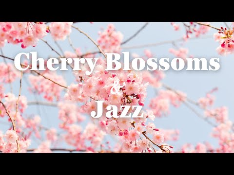 【𝐏𝐥𝐚𝐲𝐥𝐢𝐬𝐭】🌷 4K Cherry Blossoms Jazz Music 🌸 |  Spend a bright Spring day with Jazz 🌼