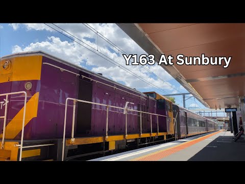 Y163 At Sunbury