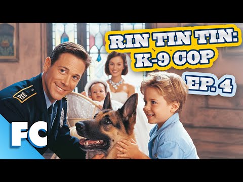 Rin Tin Tin: K9 Cop | Season 2 Episode 04: 12 Cops and a Baby | Full Free HD Dog Comedy TV Show