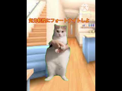 煽ってる人の一日【フォートナイト】