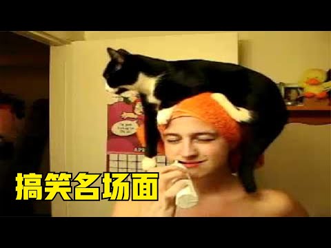 喵星人太调皮，骑到主人头上了！15个监控抓拍到的搞笑画面