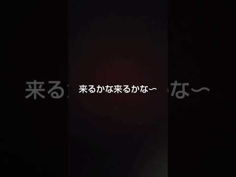 来るかな？？