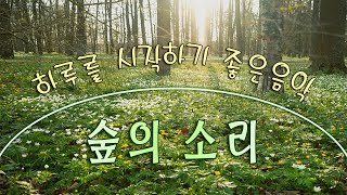몸과 마음이 편안해지는 치유음악 🌲하루10분 만병을 치료 해주는 힐링 명상 기치료 음악 및 영상 - 아침음악, 힐링음악, 명상음악, 스트레스해소음악
