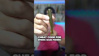 This Lure is a CHEAT CODE for Spring Bass! #fishing