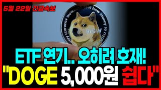 [도지코인 DOGE] 개인들은 매도 고래들은 매집! ETF 연기가 호재가 됐다! 5000원까지 올라간다!