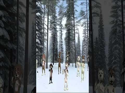 Dog Dance Team's performance on a snowy day