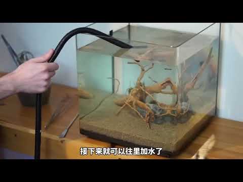 #红薯 #草莓 #种植